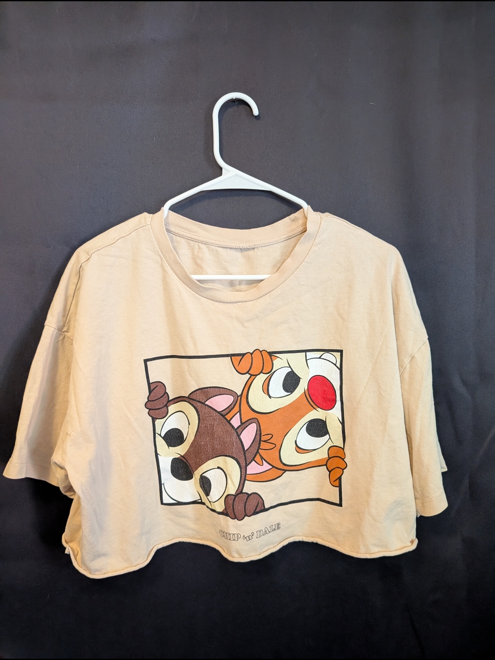 Beige Chip 'n' Dale Cartoon Crop Tee - Playful Graphic Loose Fit Disney Comfy